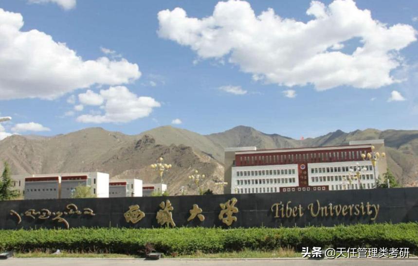 教育学考研择校推荐2024b区,311教育学考研择校