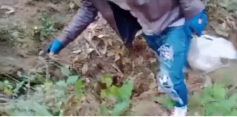 缅甸掸邦北部，一男子性侵杀害5岁女童，被判死刑