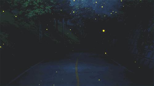 灵谷寺萤火虫7月,灵谷寺萤火虫目前还有吗