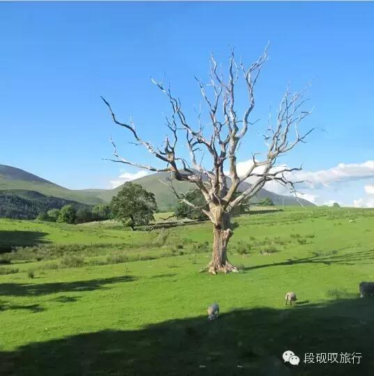 结婚前一定要有一个公寓,结婚前必须住一起好吗