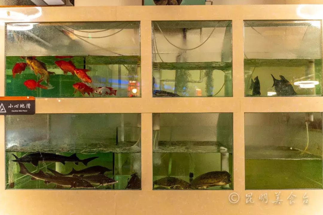 昆明超大餐厅宴会,昆明超大餐厅