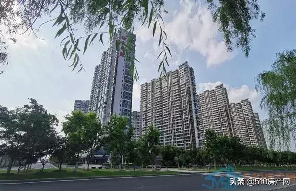 江阴最有潜力的学区房,江阴好的学区房有哪些