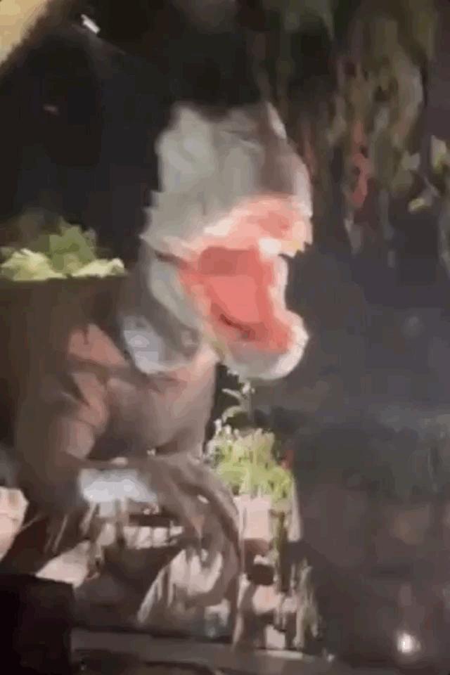 北京欢乐谷只能玩半天吗,北京欢乐谷一天玩不完怎么办