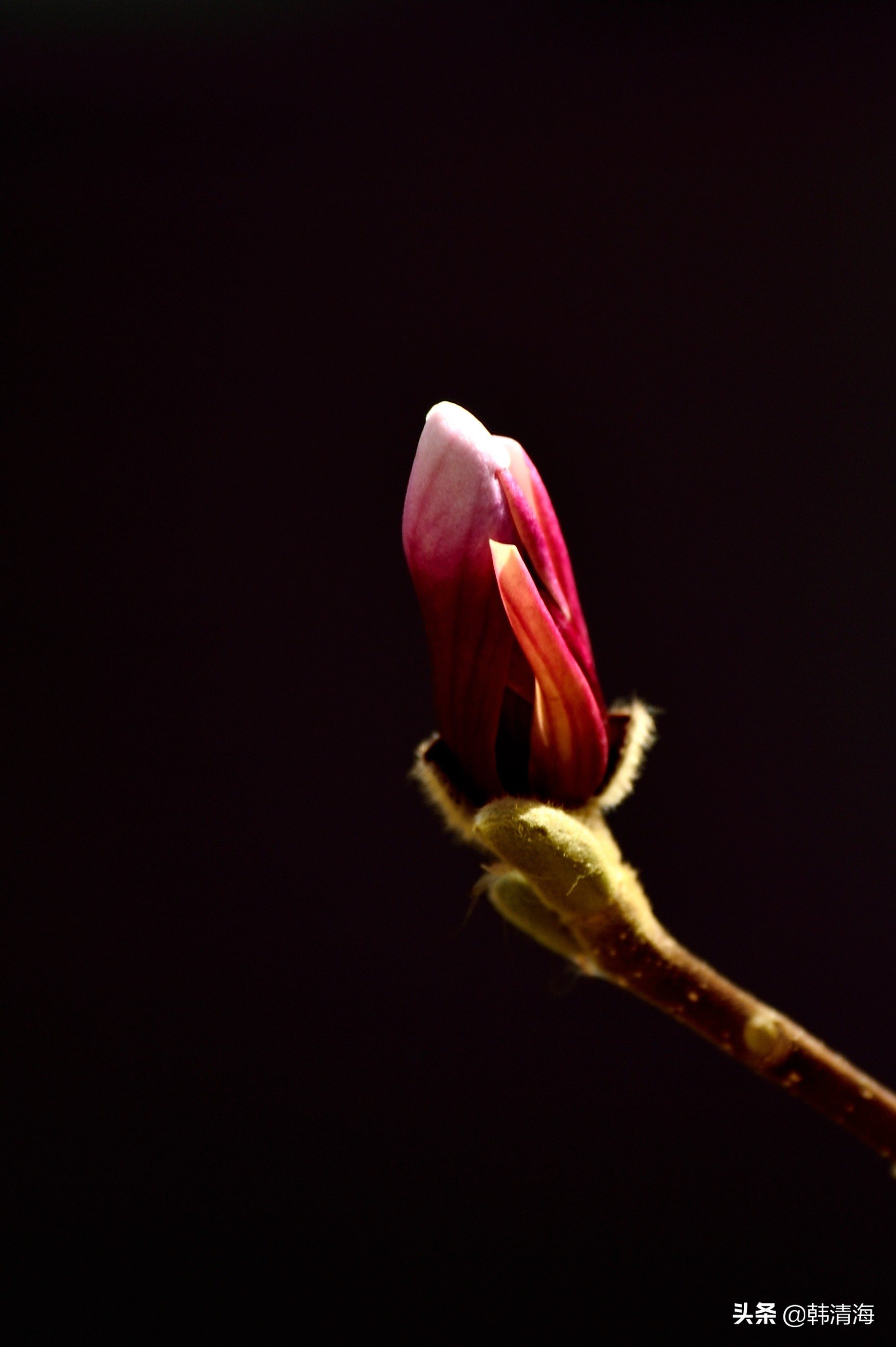 天津南开水畔花园洋房,天津南开区水畔花园