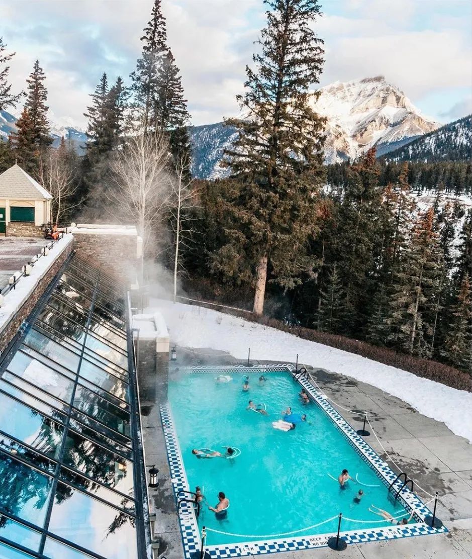 BC省的冬天，粘人精