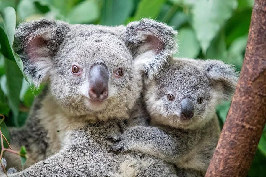 多少天能玩遍广东5a景区,广东5a旅游景点大全推荐图