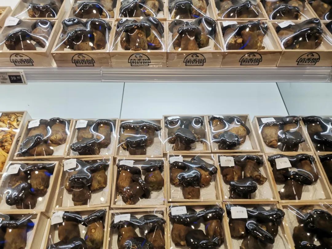 不靠会员费，另辟蹊径的麦德龙PLUS从哪挣钱？