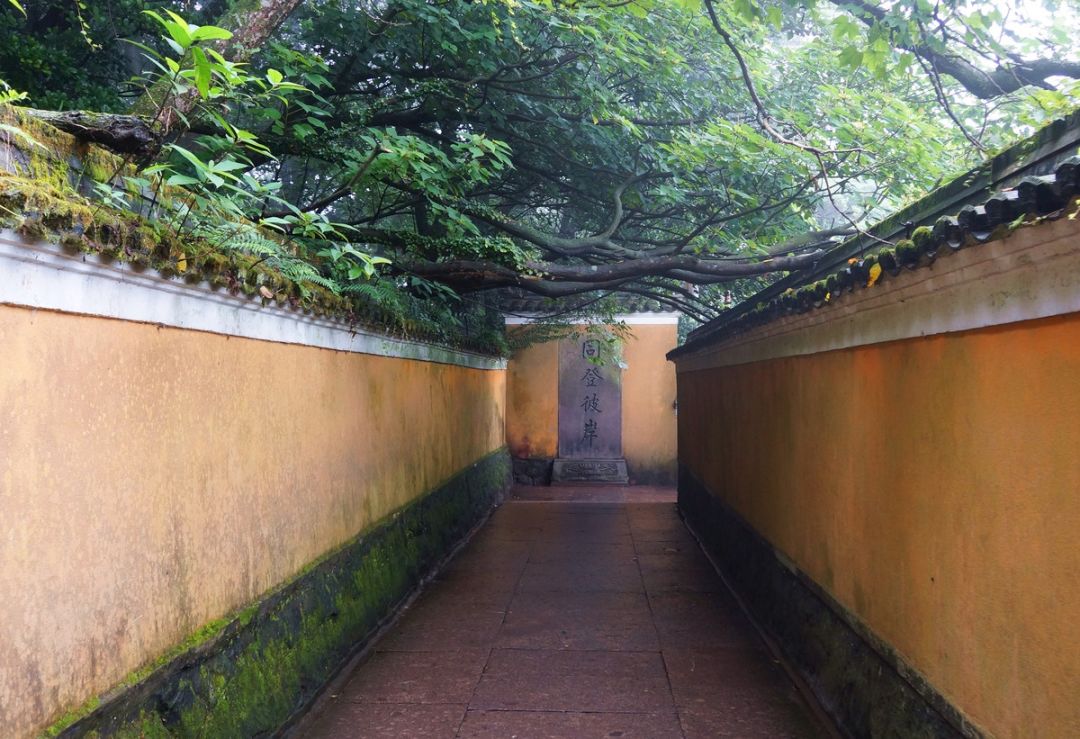 深圳到普陀山自驾游攻略最佳路线,2020普陀山奇异景象