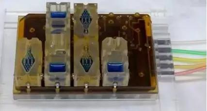 芯片上造器官,芯片人体植入技术解析