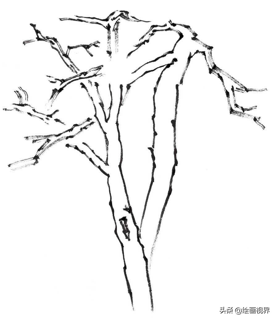 国画双钩树的画法入门,国画杂树与山石的画法图片