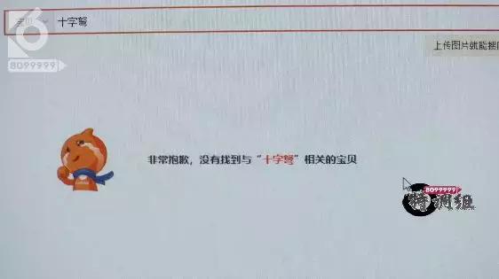 猫咪眼睛被刺了一下,小猫的眼睛被鱼叉刺穿