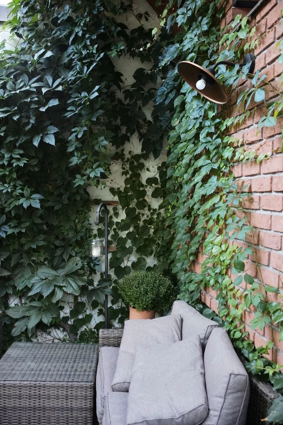 探访TON工厂看经典椅子背后的故事|疯狂24h我们去捷克干了啥？