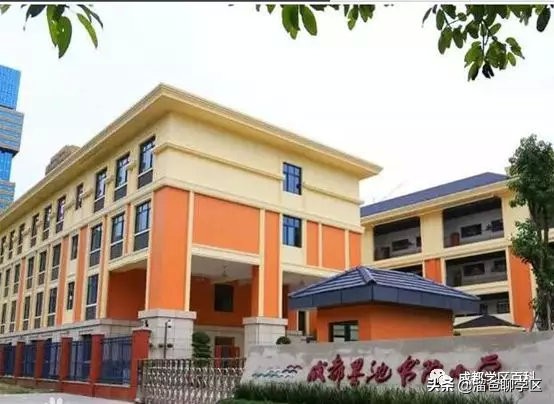 大源片区小学排名,高新区大源片区学校排名