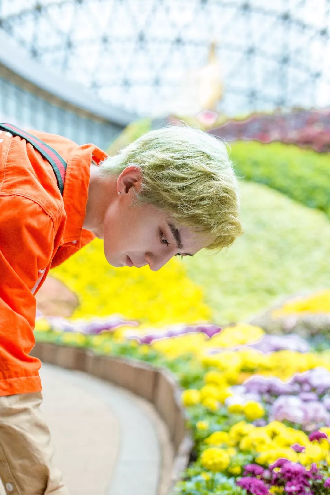 look缃戠孩,look鍝ュ摜