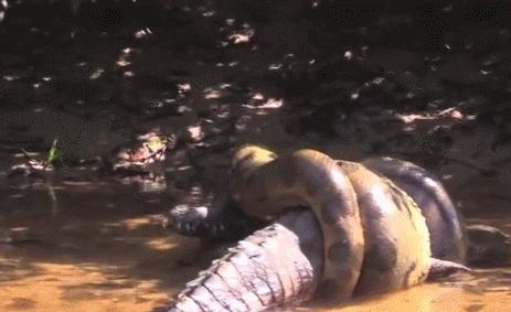 50张活久未见的上色老照片,30张活久未见的照片