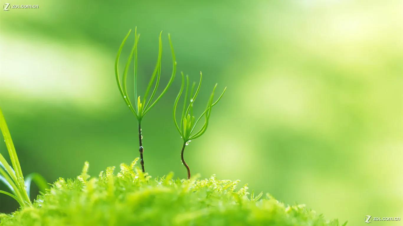 竞彩足球基本知识,竞彩足球应该如何买