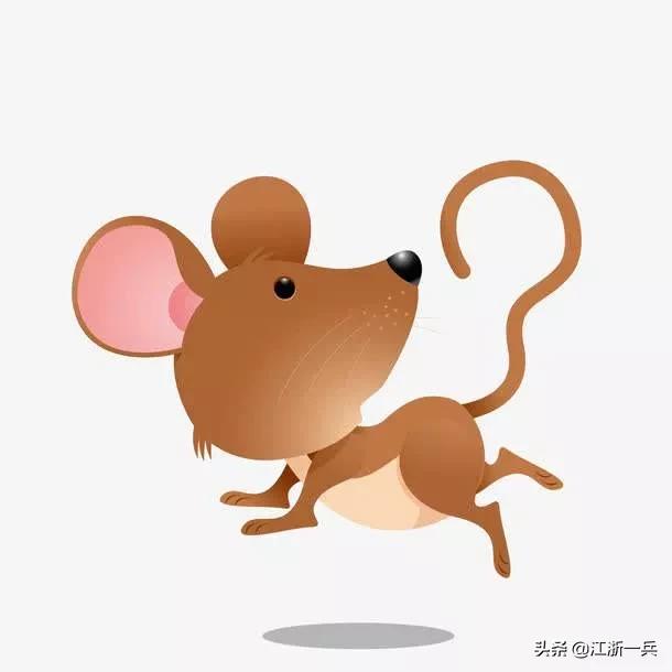 有关鼠年的唯美散文,鼠年说鼠随笔