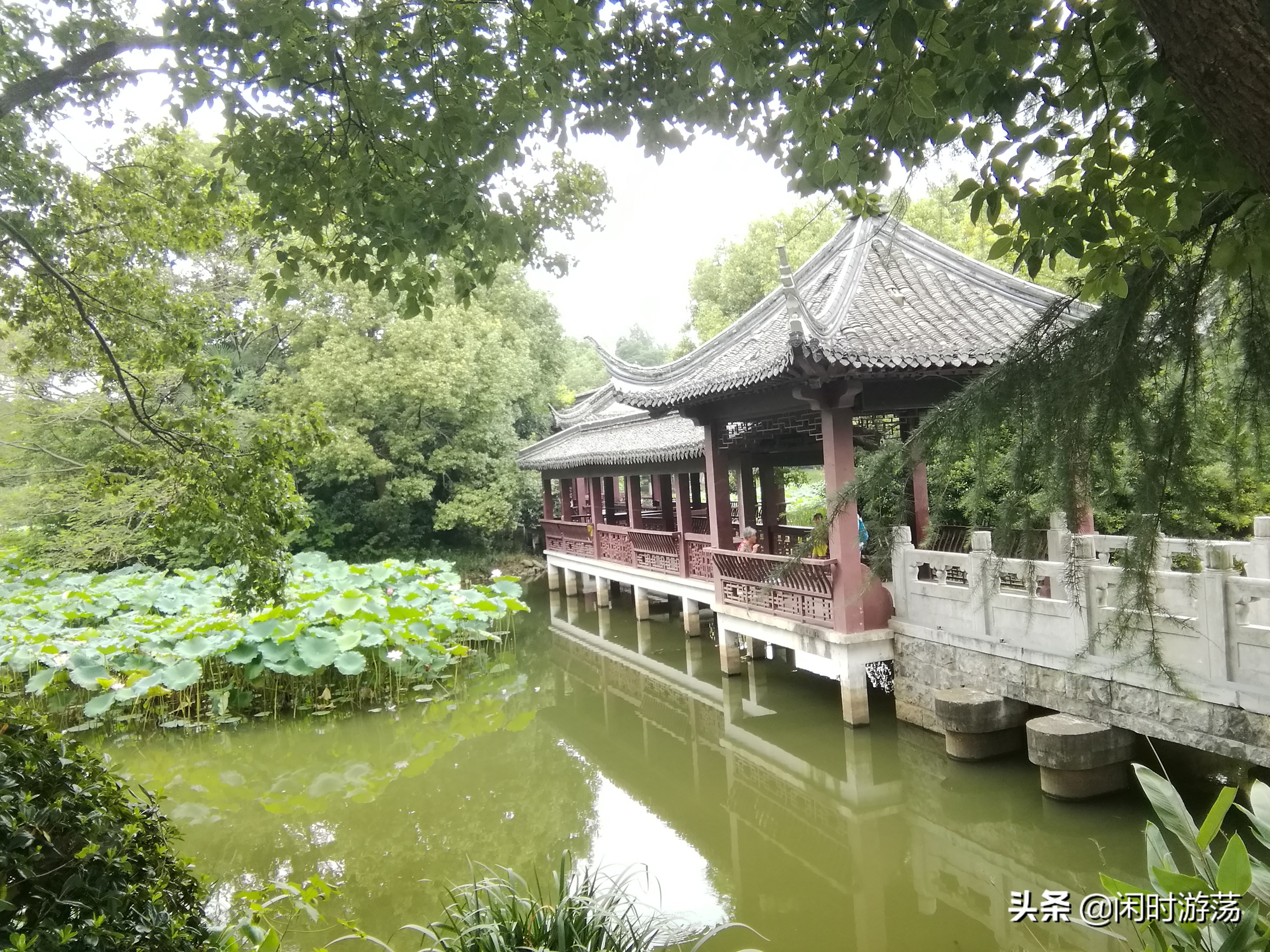 高淳老街杨厅,南京金陵小区到高淳老街怎么坐