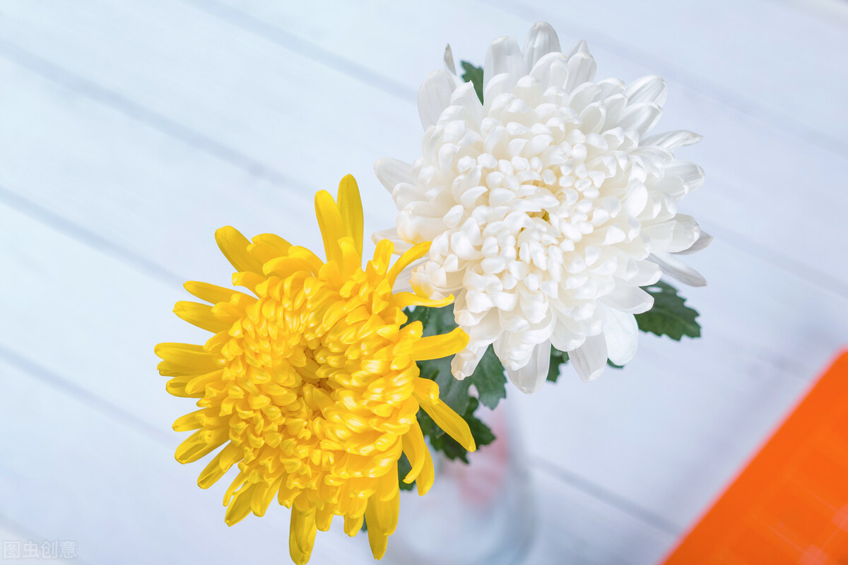 深昏迷病人医生建议放弃治疗,作为一名医生怎样对待病人