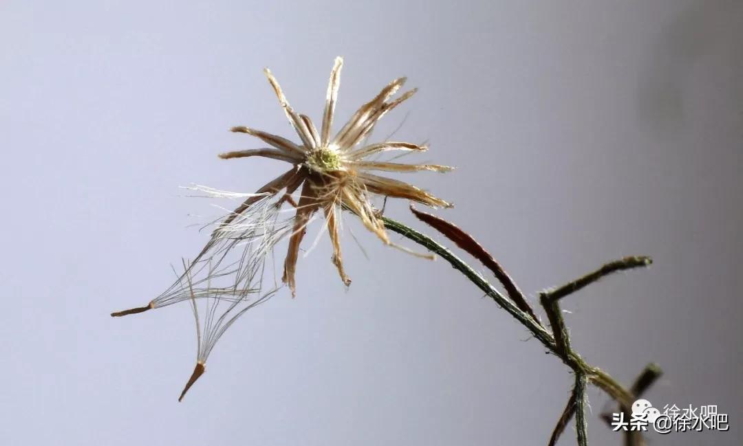 「徐水映像」换个角度看保定徐水,美