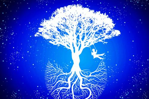 郑强说自己儿子没出息,郑强谈儿子没出息