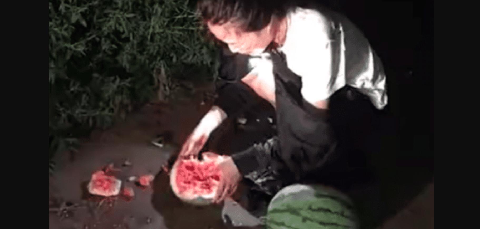 深夜偷西瓜被抓,女子偷西瓜被逮住让现场吃掉