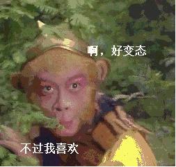 杨树林黑鸦香水测评 (杨树林黑鸦片香水哪款好)