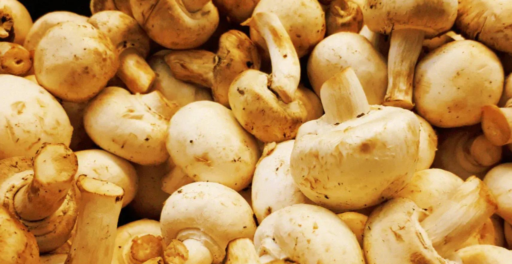 蘑菇真的能杀死癌吗,蘑菇能抑制癌细胞吗