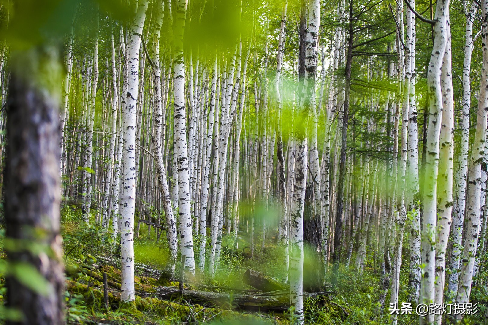 适合夏天的避暑胜地,夏天凉快的地方避暑胜地
