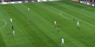 狼崽到狼王的蜕变,深度解析佩莱格里尼