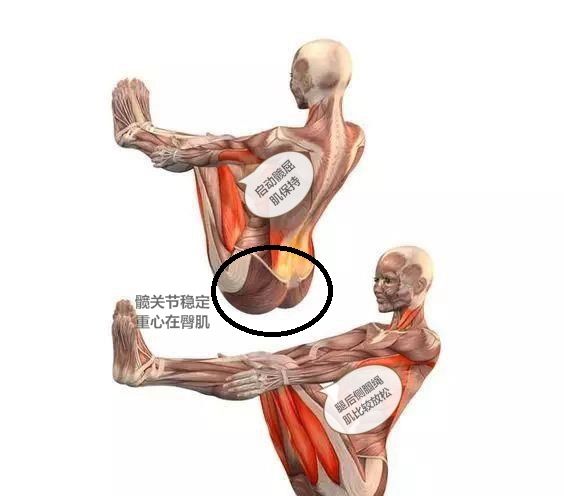 瑜伽沉腰拱背到底怎么做,瑜伽的船式平衡感怎么练