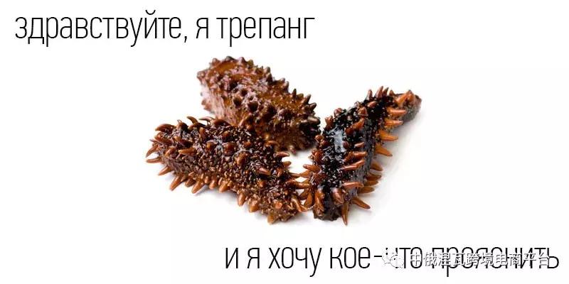 俄罗斯北极参和海参有什么区别,如何分辨俄罗斯海参或大连参