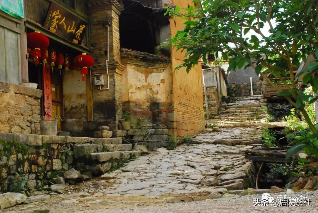 易武普洱茶最好的一款,易武回甘特别好的一款茶