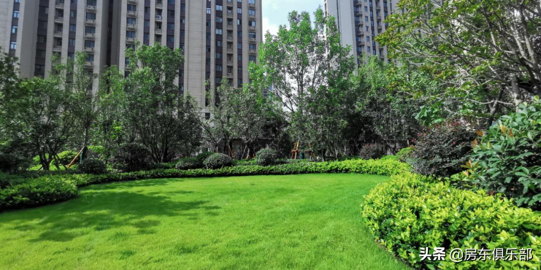 野蛮生长房地产,房地产市场野蛮生长