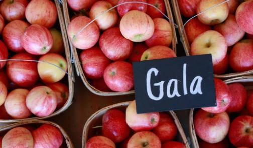 在国内怎么使用美元,如何用1美元变成100美元