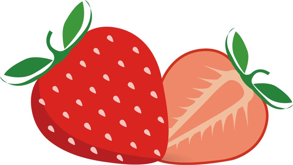 龙凤新天地|松山棉店兰精莫代尔儿童系列—宝宝们的贴身“小空调”