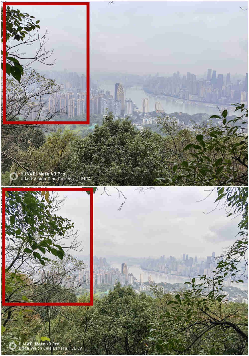 荣耀20prodxomark拍照排名,dxomark相机是什么