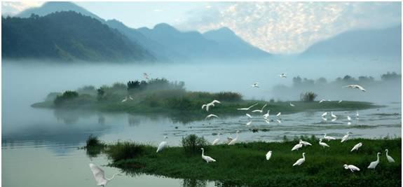 全国各地火锅大盘点,在江浙沪比较出名的火锅