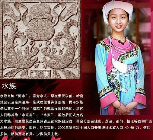 中国五十六个民族的服饰,56民族图腾图