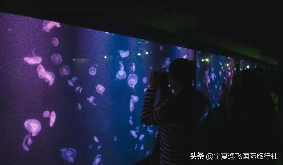 国内最适合带孩子去的十大游乐园,全国适合孩子游玩的游乐园排名