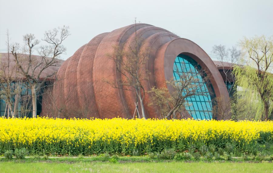 上海国庆免费景点推荐,上海值得去的免费景点旅游攻略