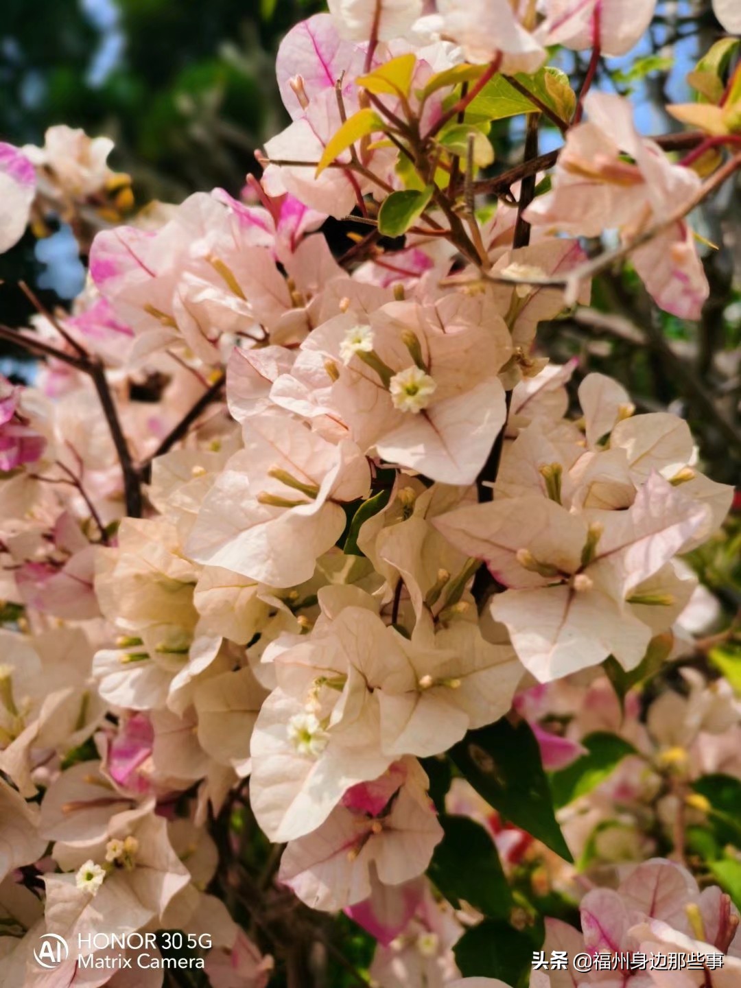 福州露营休闲放松好去处,福州温泉景区