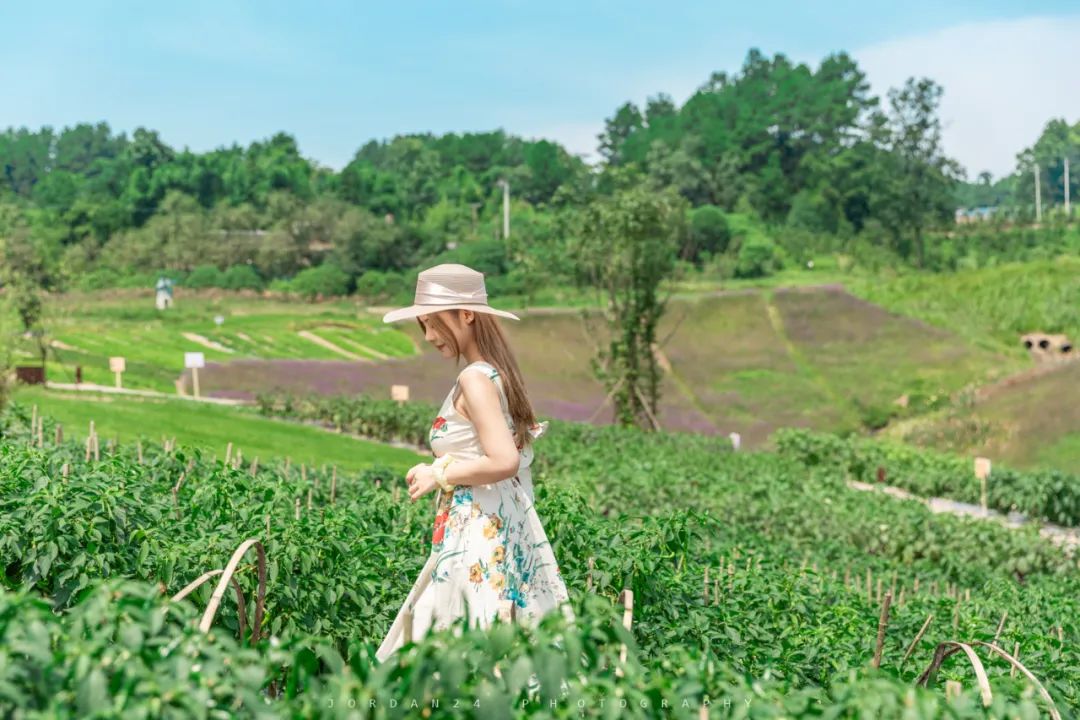 綦江城区游,重庆綦江区旅游
