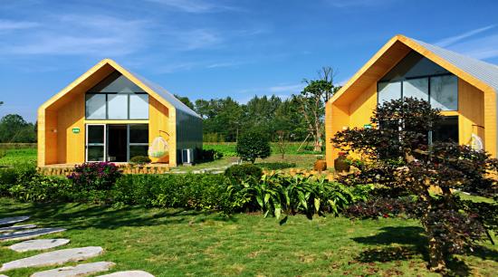 成都周边春季徒步旅游攻略,成都森林徒步旅游攻略