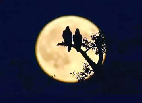 频繁梦到一个人是思念还是遗忘呢,总梦到一个人是爱他吗