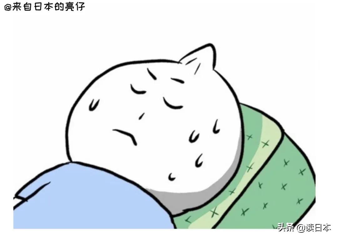 亮仔小哥,日本小哥亮仔长什么样