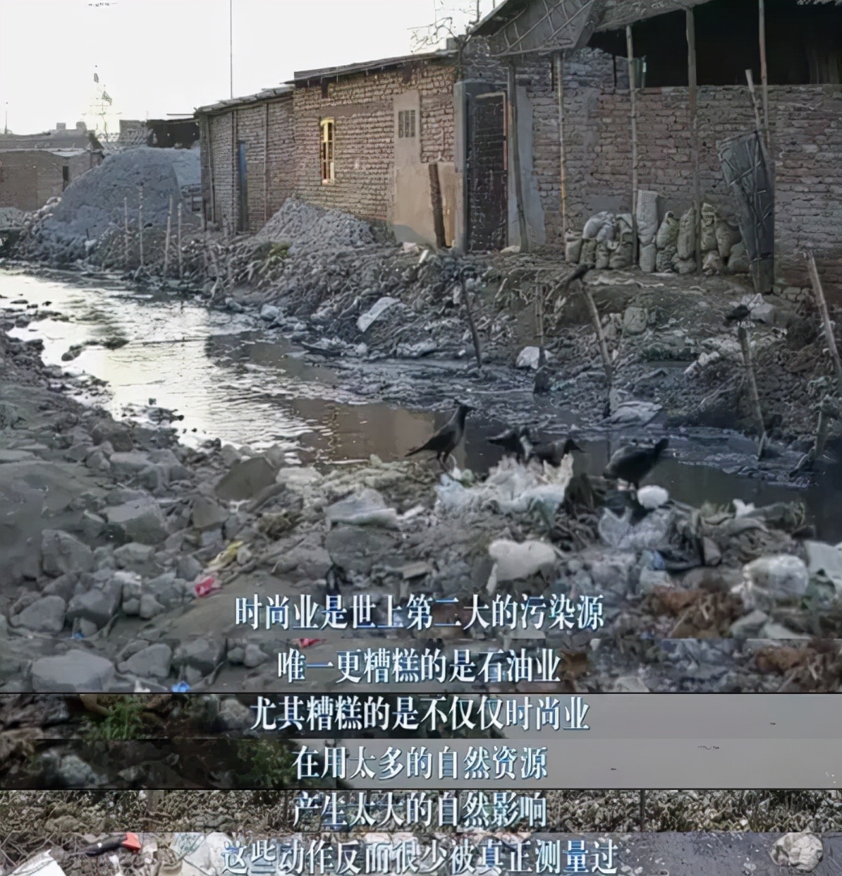 我今年的服装类支出比去年骤减了80%