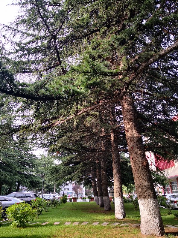 国家电网甘肃电力科学研究院地址,国网甘肃电力公司电科院近期新闻