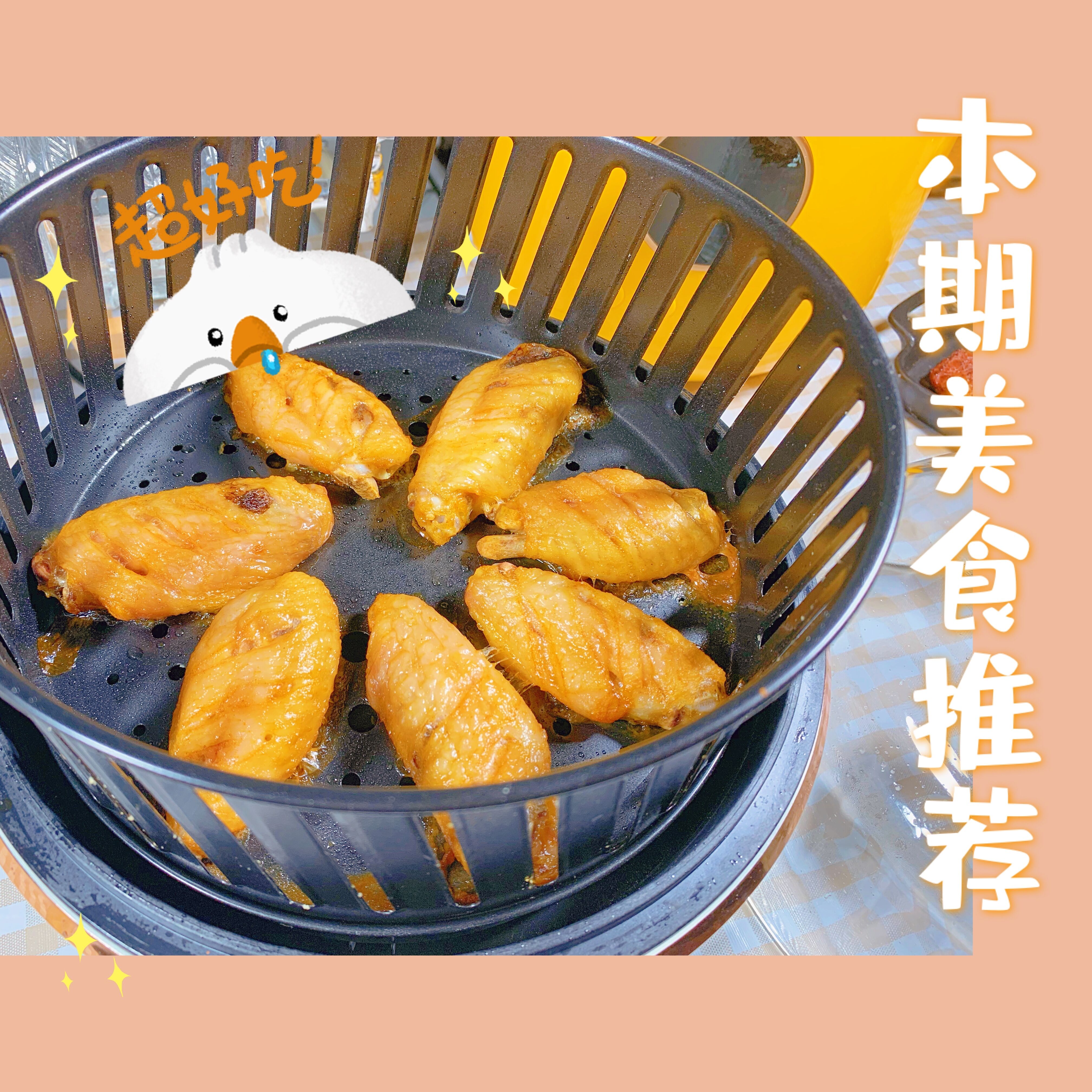 宜盾普评价,宜普盾空气炸锅