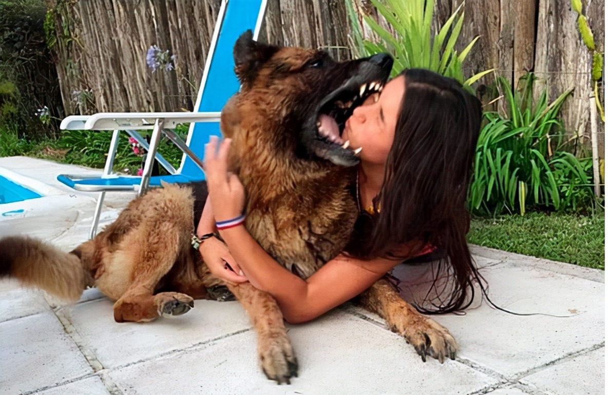 避免狗咬自救小妙招,如何防止被狗狗咬